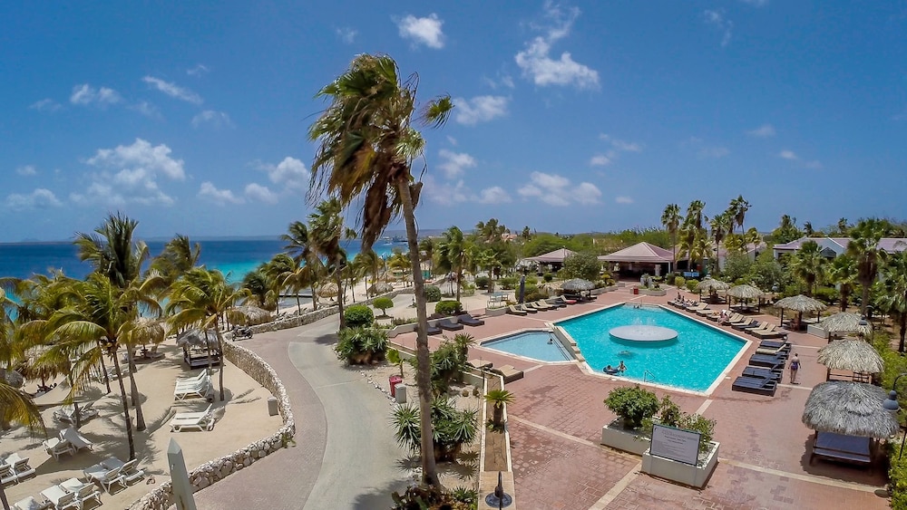Plaza Beach Resort Bonaire All Inclusive Reviews, Photos & Rates