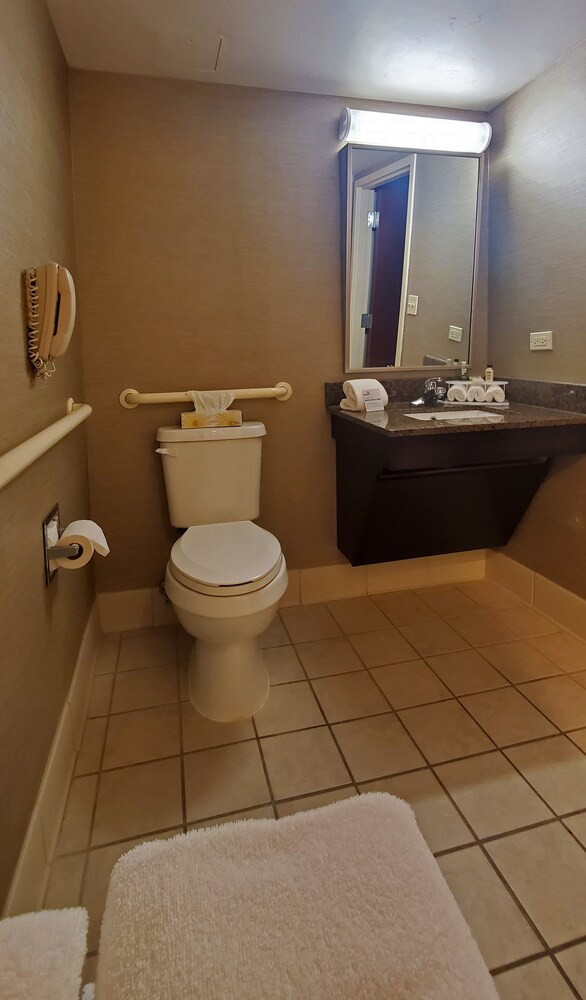 Bathroom, Holiday Inn Express Hotel & Suites Buffalo-Airport, an IHG Hotel