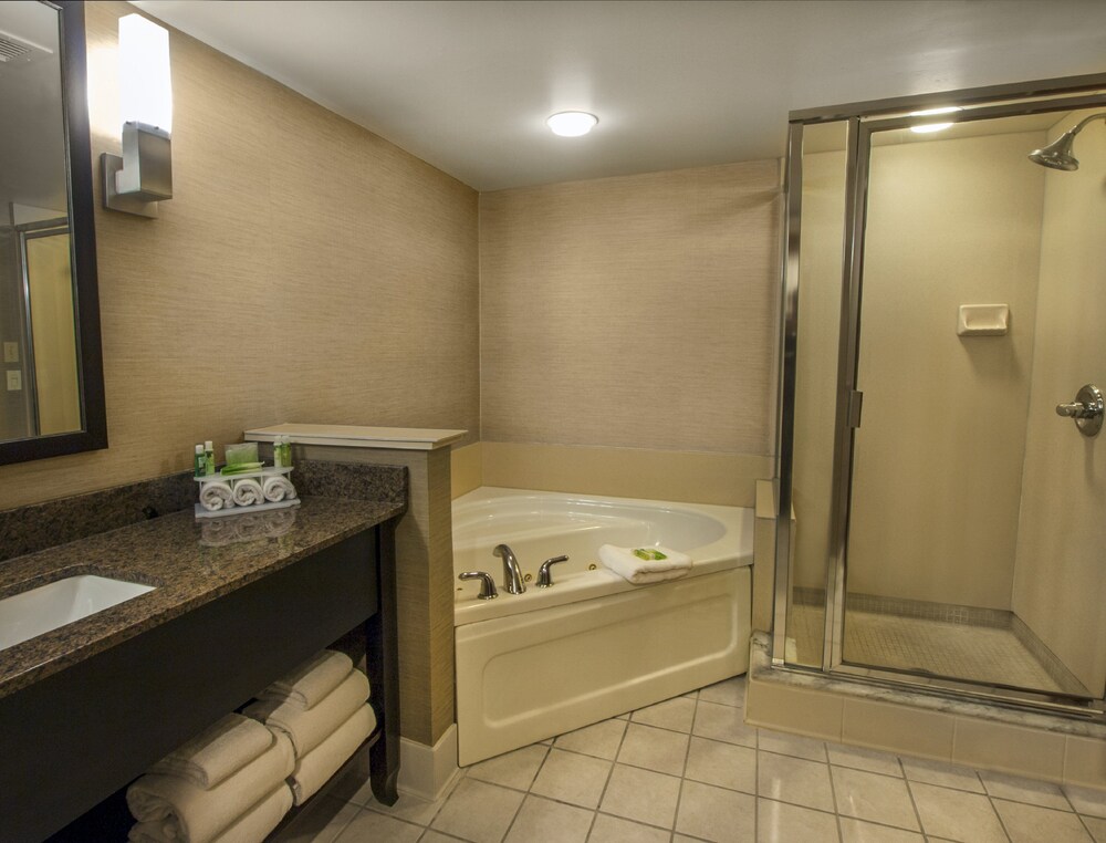 Bathroom, Holiday Inn Express Hotel & Suites Buffalo-Airport, an IHG Hotel