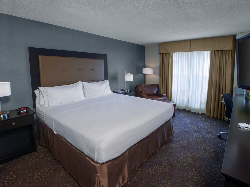 Holiday Inn Express Hotel & Suites Buffalo-Airport, an IHG Hotel