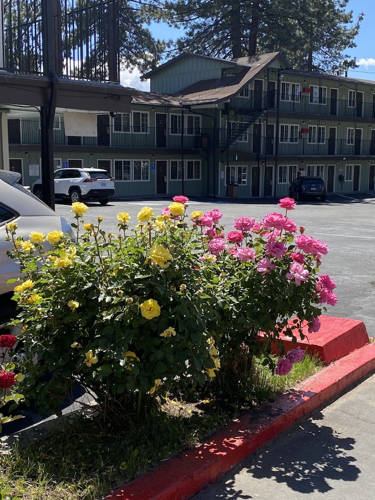 Garden, Budget INN At The Heavenly Gondola