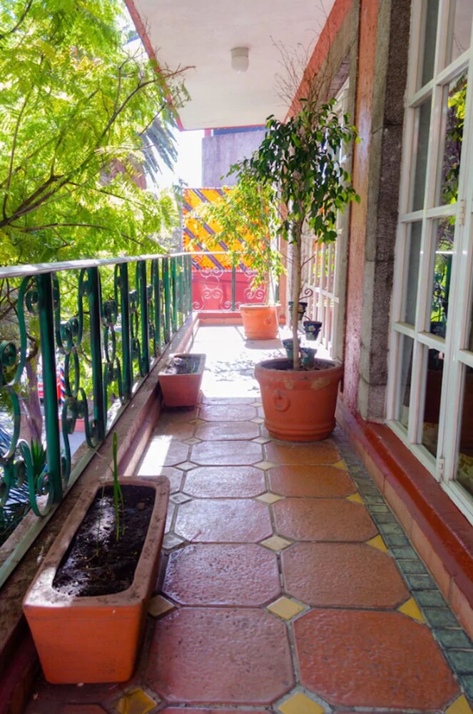 Foto - Hotel Residencia Polanco