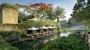 2 outdoor pools, free cabanas, pool umbrellas