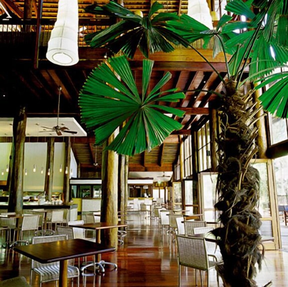 Cape Tribulation Resort & Spa