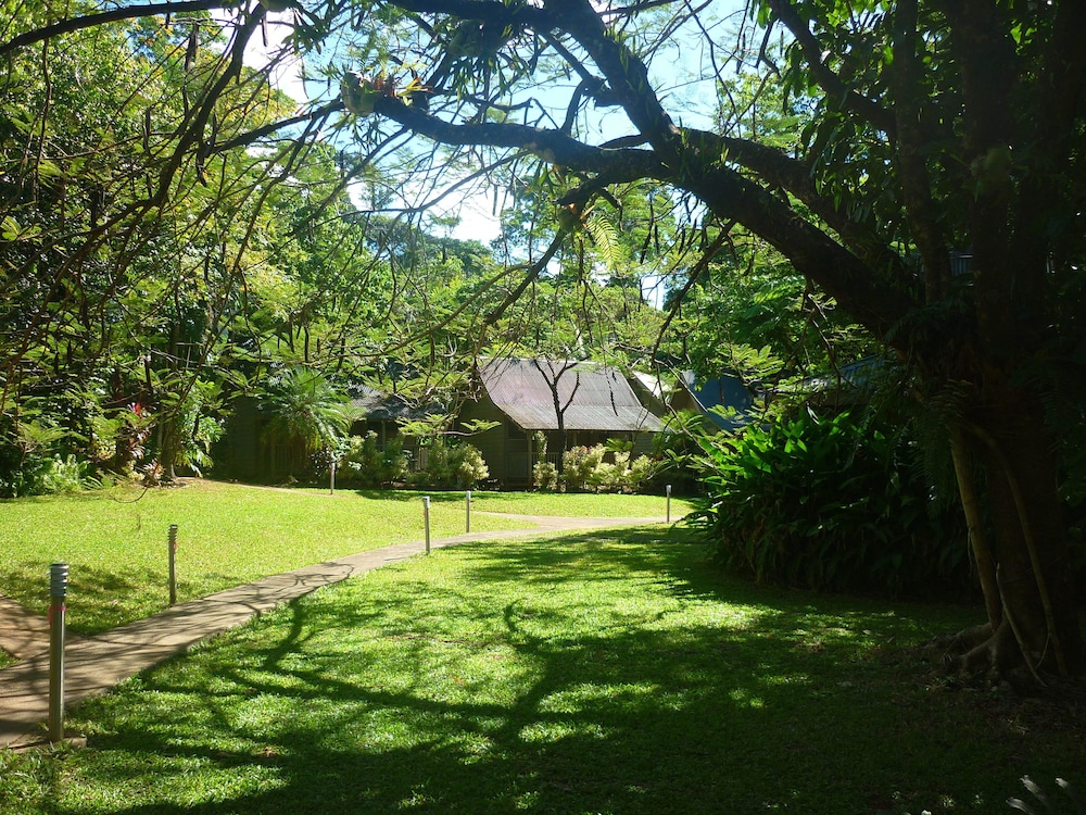 Ferntree Rainforest Lodge