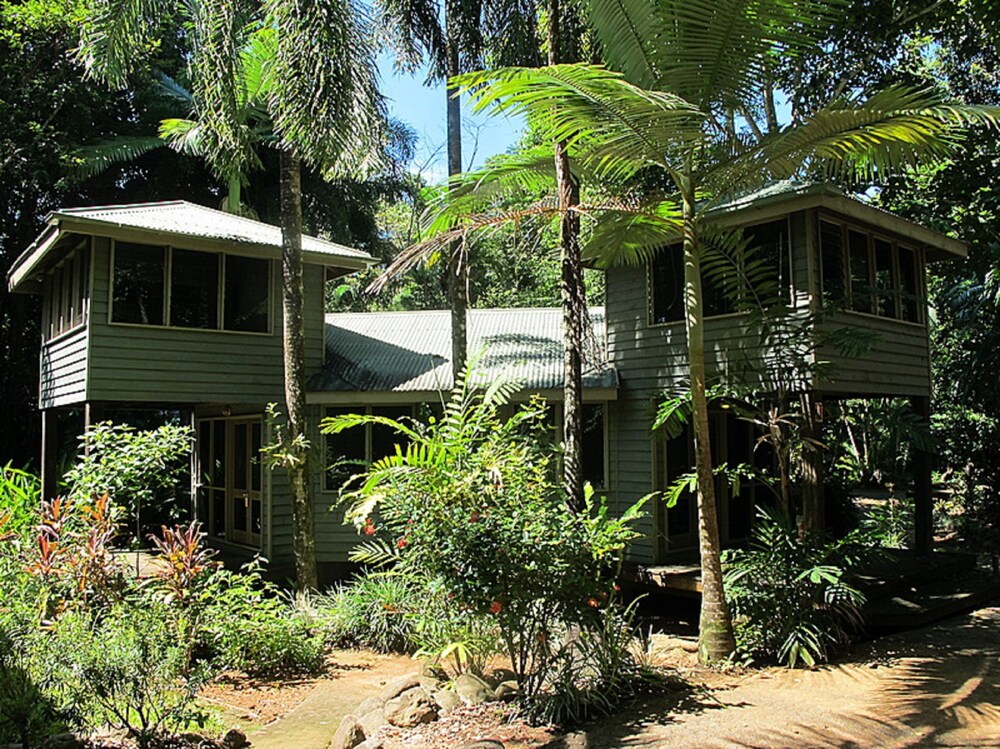 Ferntree Rainforest Lodge