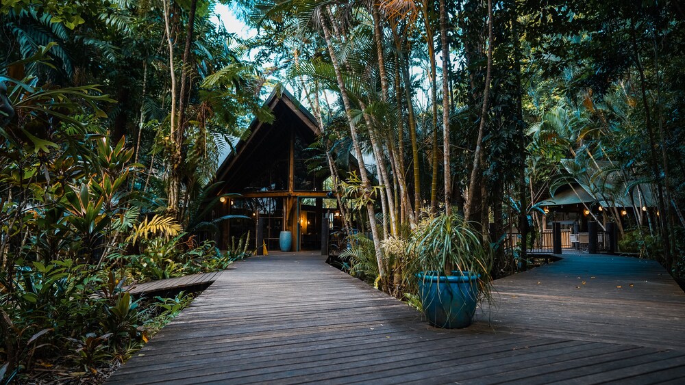 Ferntree Rainforest Lodge