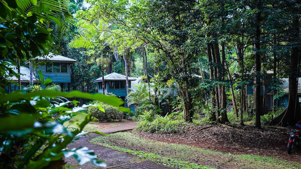 Ferntree Rainforest Lodge