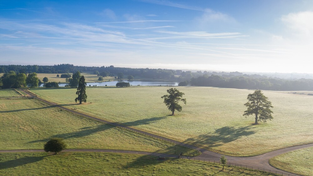 View from room, Four Seasons Hotel Hampshire