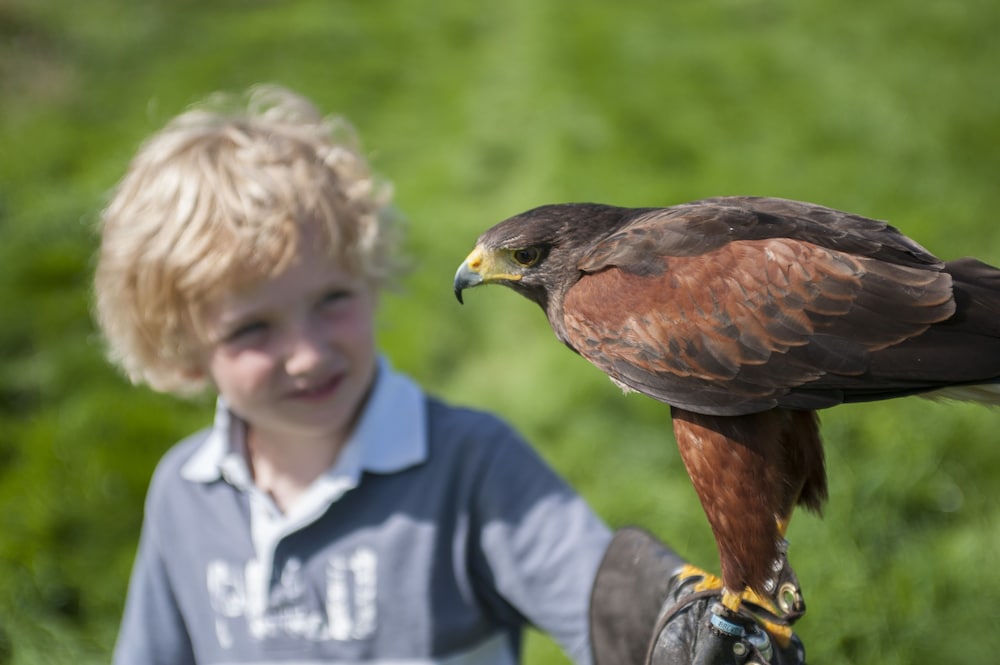 Children's activities, Four Seasons Hotel Hampshire