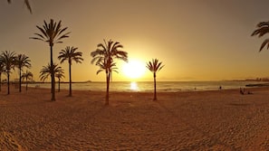 Ubicación cercana a la playa y arena blanca