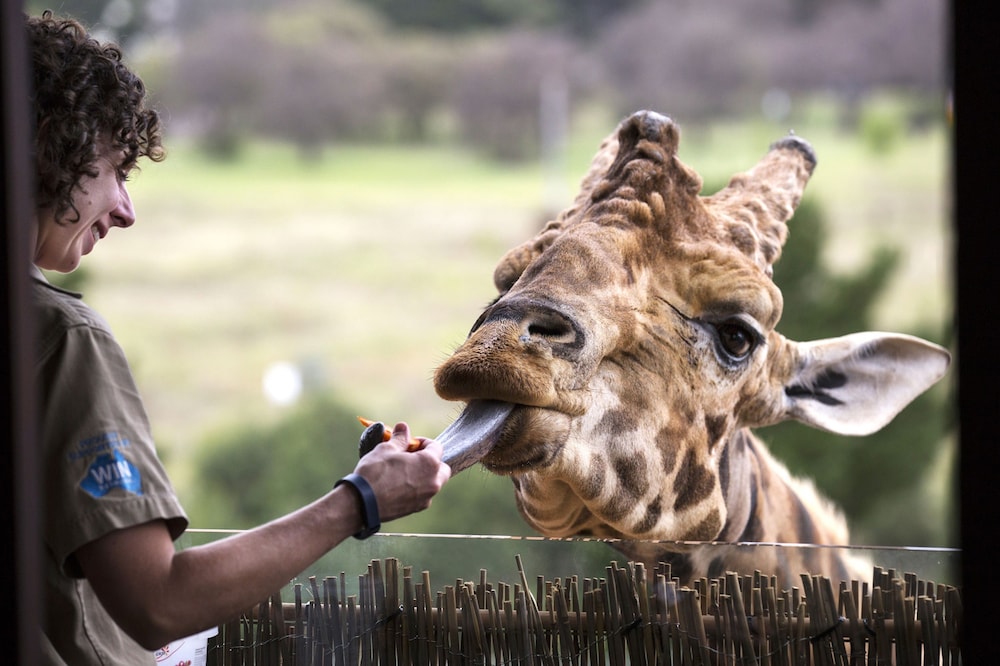 Jamala Wildlife Lodge
