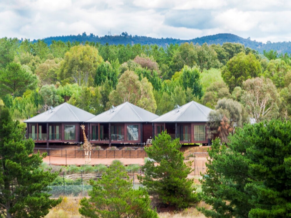 Jamala Wildlife Lodge