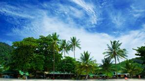 Trên bãi biển, ghế dài tắm nắng, dù trên bãi biển