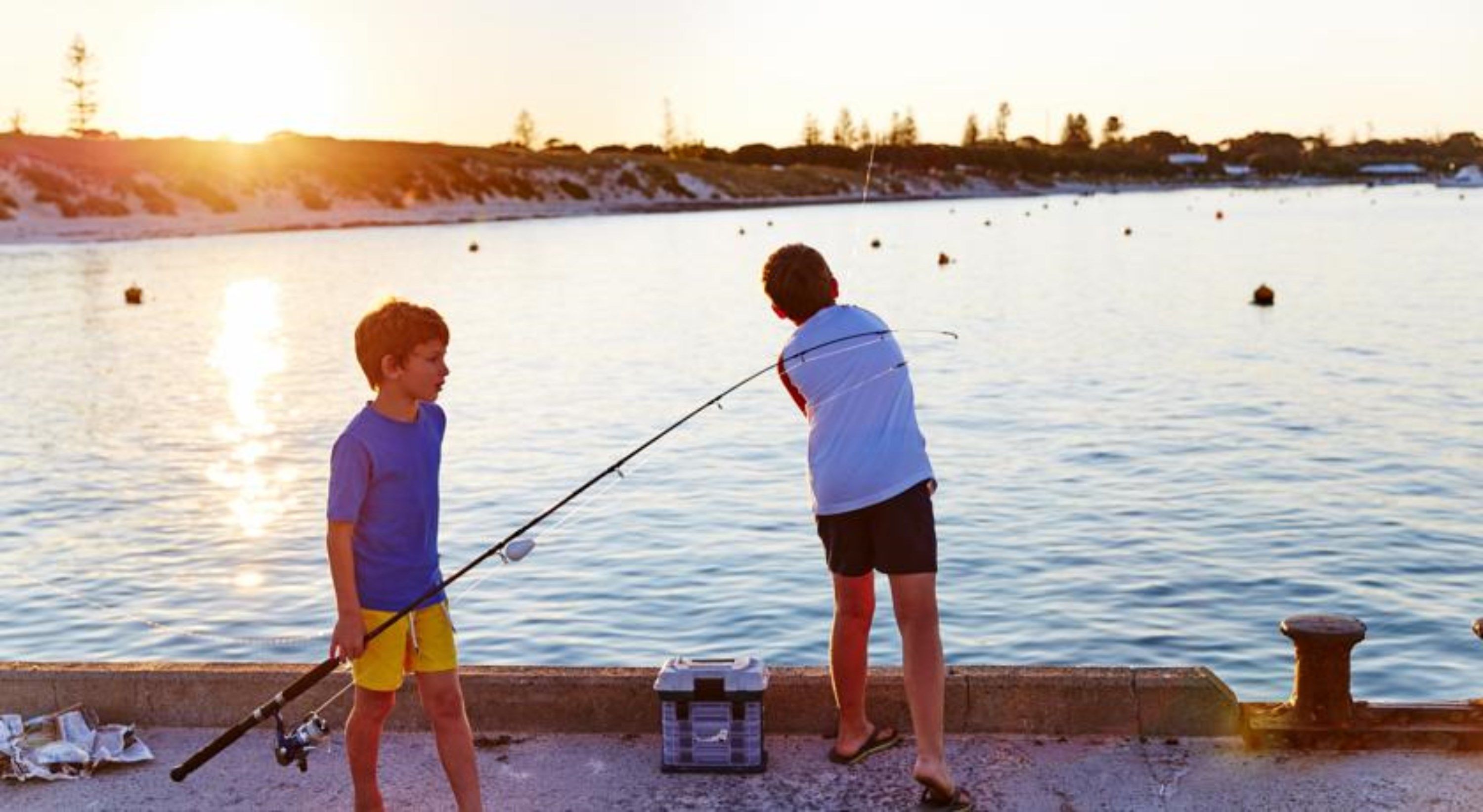 Rottnest Island Authority