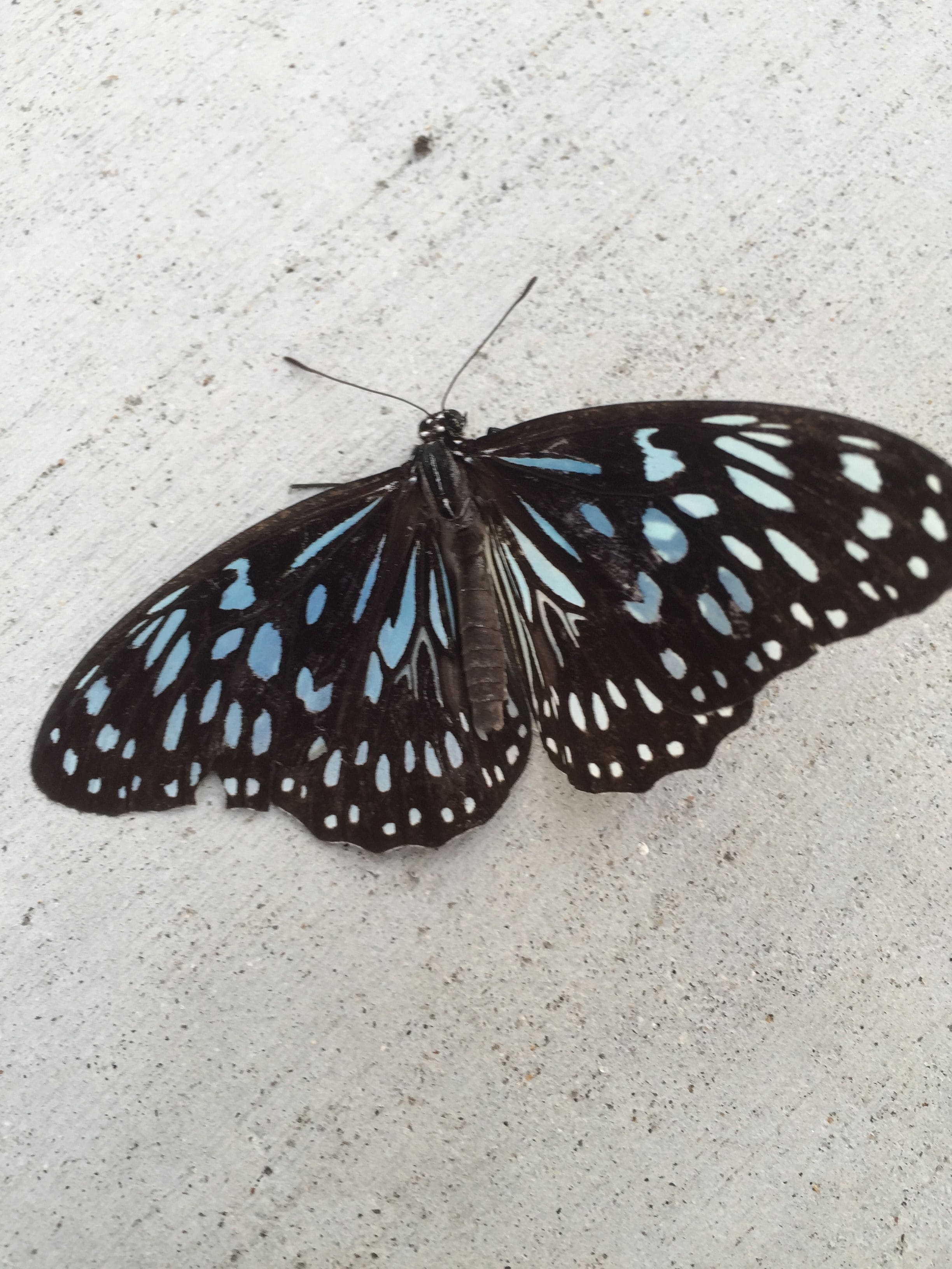 Econo Lodge Beachside