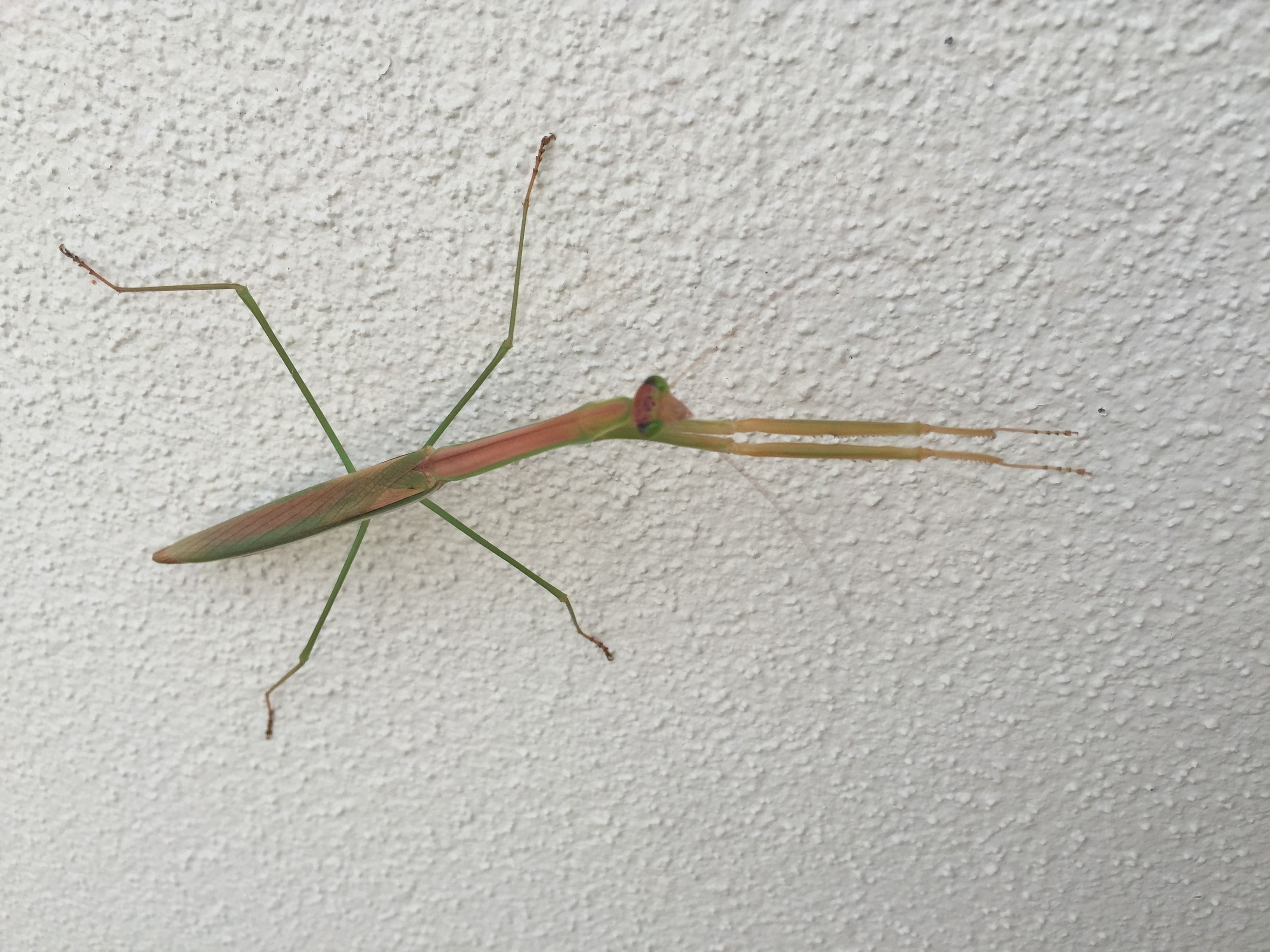 Econo Lodge Beachside