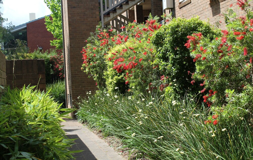 Adelaide Dresscircle Apartments - Archer Street