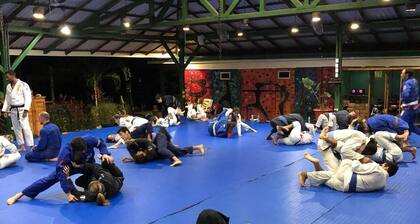 Jungles Edge
