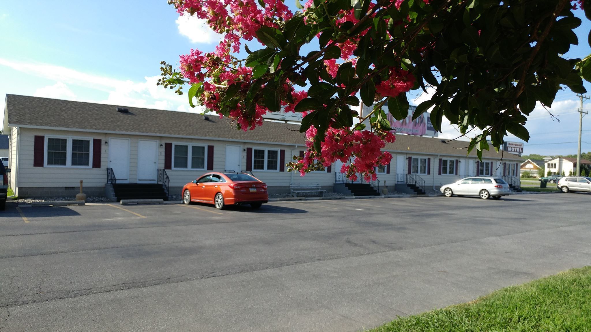 Driftwood Motel in Rehoboth Beach, United States