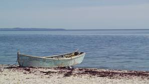 Vlak bij het strand, vissen