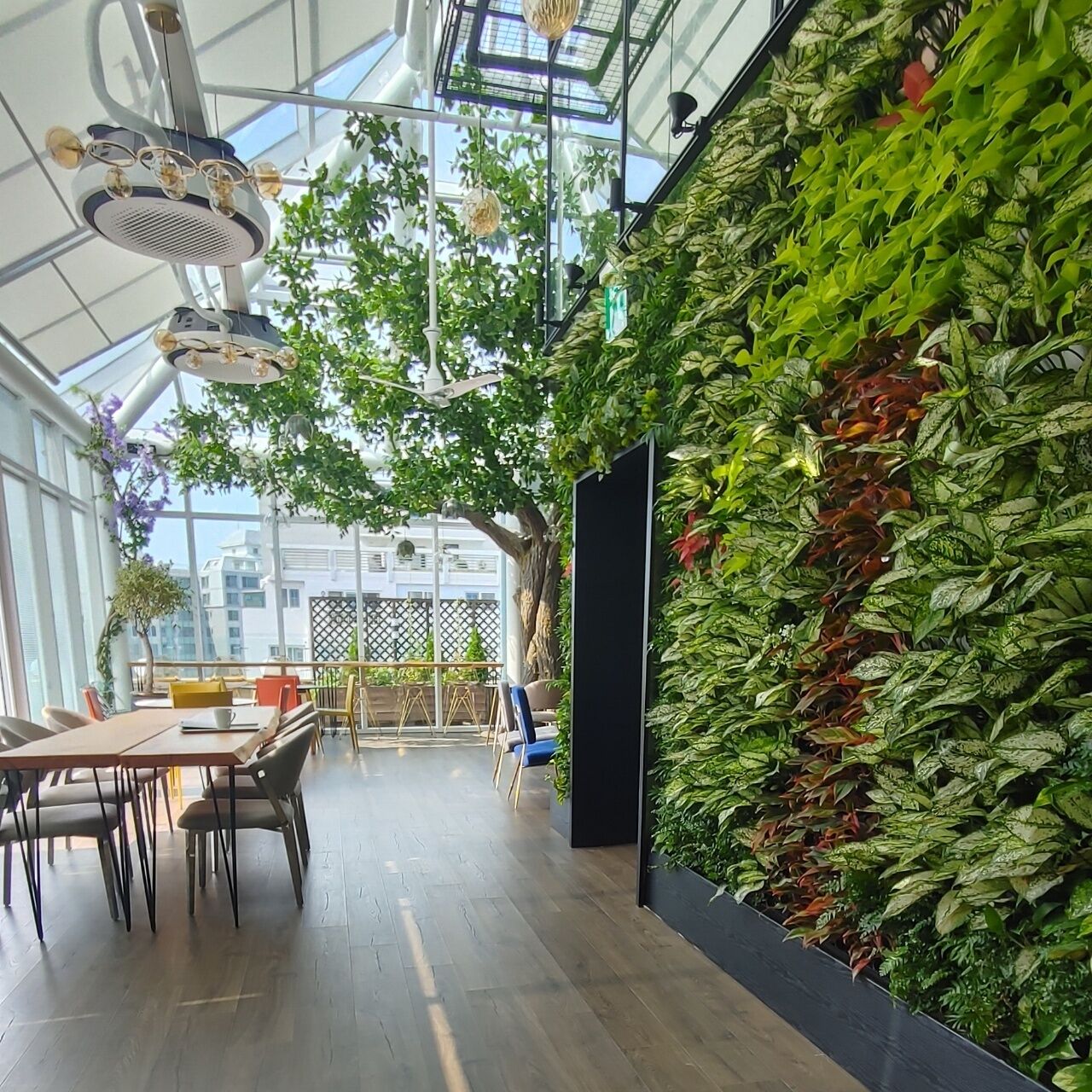 Hotel Leo in Jeju, South Korea