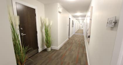 Stardust Motel
