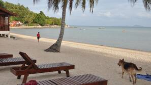 On the beach, white sand, sun-loungers, beach volleyball