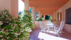 Terrazza/Patio