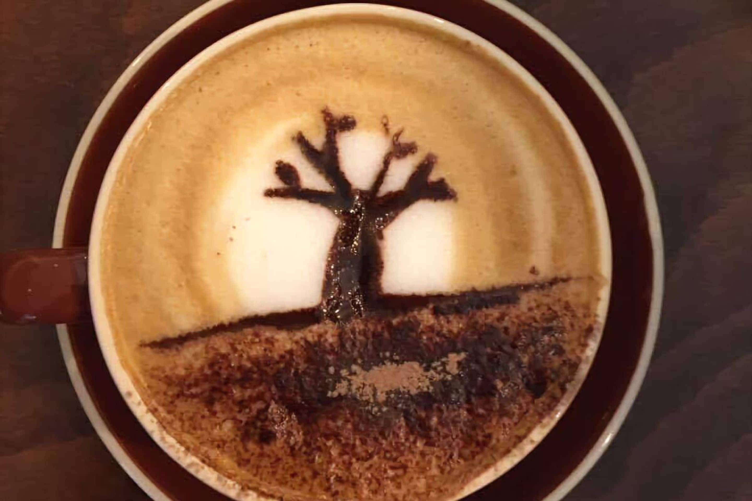 Derby Lodge Self Contained Apartments