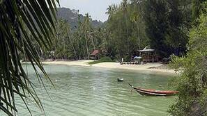 บนชายหาด, บาร์ริมหาด