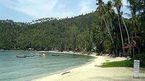 บนชายหาด, บาร์ริมหาด