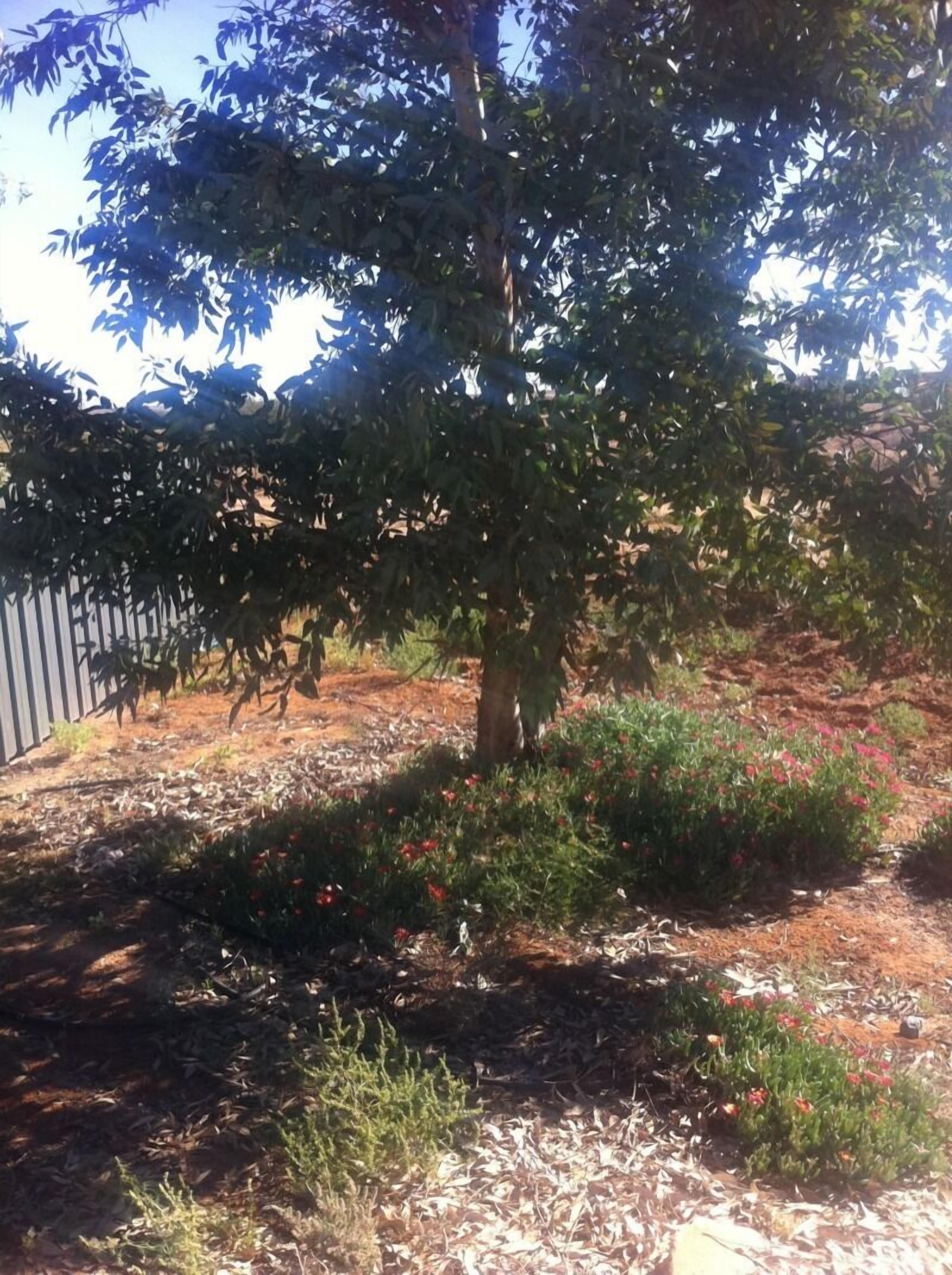 William Creek Camp Ground & Units