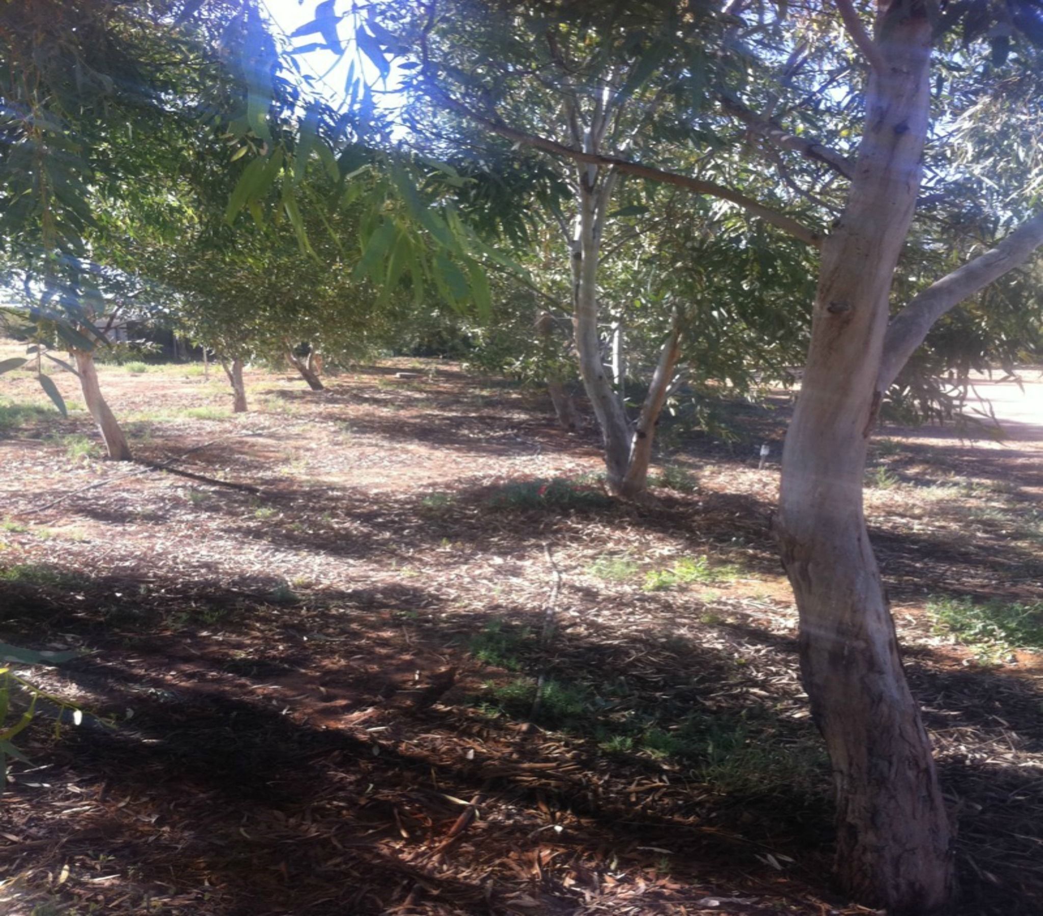 William Creek Camp Ground & Units