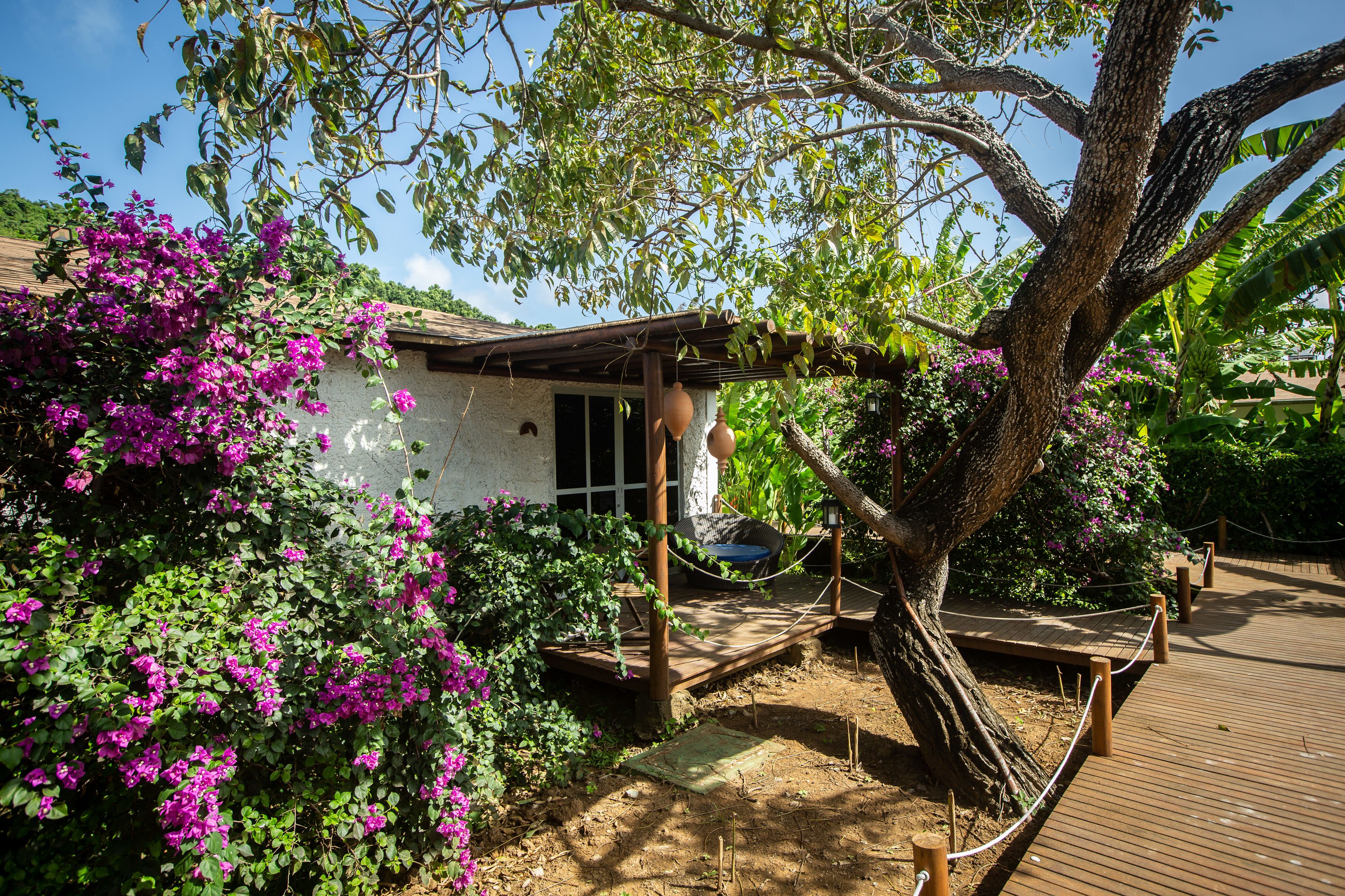 ドルフィン ホテル フェルナンド デ ノローニャ 口コミ 宿泊料金 予約 エクスペディア