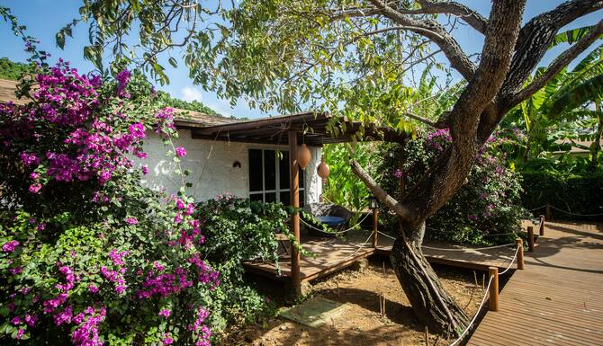 ドルフィン ホテル フェルナンド デ ノローニャ 口コミ 宿泊料金 予約 エクスペディア ドルフィン ホテル フェルナンド デ ノローニャ 口コミ 宿泊料金 予約 エクスペディア