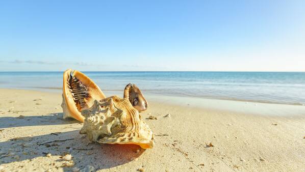 On the beach, white sand, sun loungers, beach towels