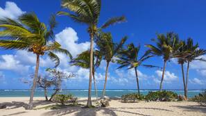 Plage, sable blanc, bar de plage