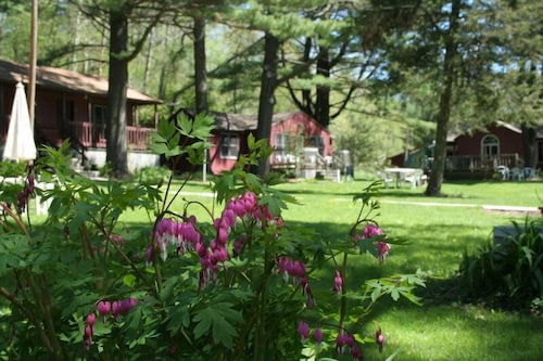 Silver Spruce Motel in Glenwood Springs, United States