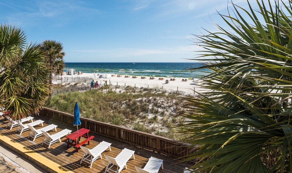 The Driftwood Lodge in Panama City Beach Best Rates & Deals on Orbitz