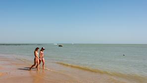 Plage privée, chaises longues, parasols, serviettes de plage