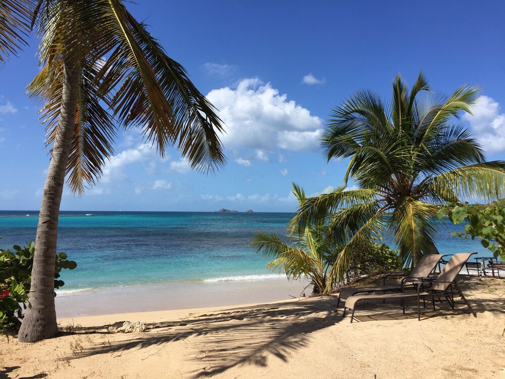 Mango Bay Resort in Virgin Gorda Best Rates & Deals on Orbitz