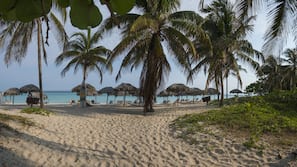 Plage, parasols, bar de plage