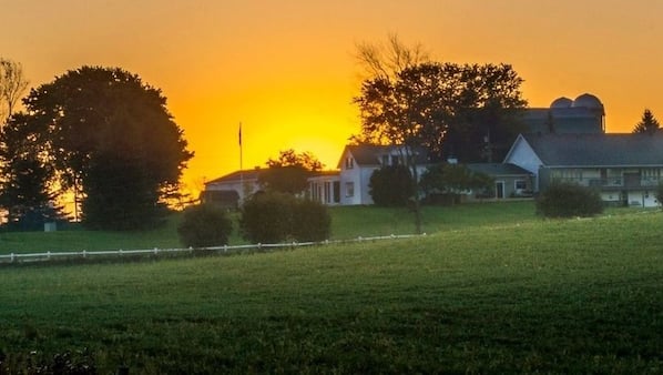 is nottawasaga inn pet friendly is nottawasaga inn pet friendly