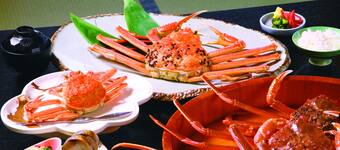 The Best Hotels Closest To Shibamasa World Amusement Park In Sakai For 21 Free Cancellation On Select Hotels Expedia