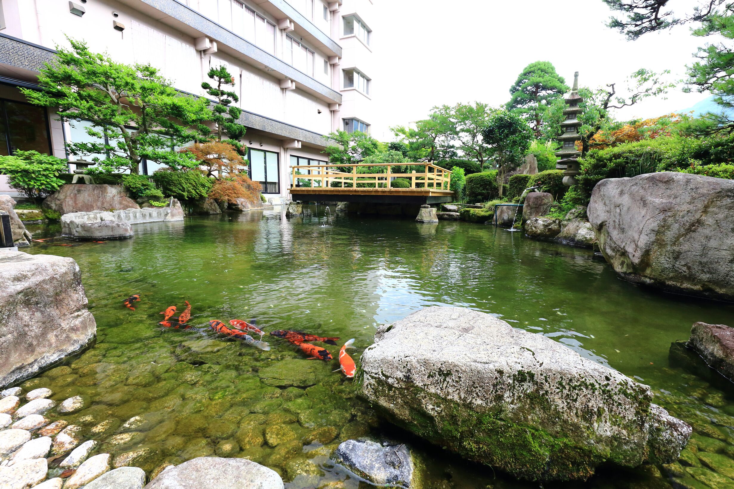 下呂温泉 望川館 口コミ 部屋写真 料金 お得情報 エクスペディア
