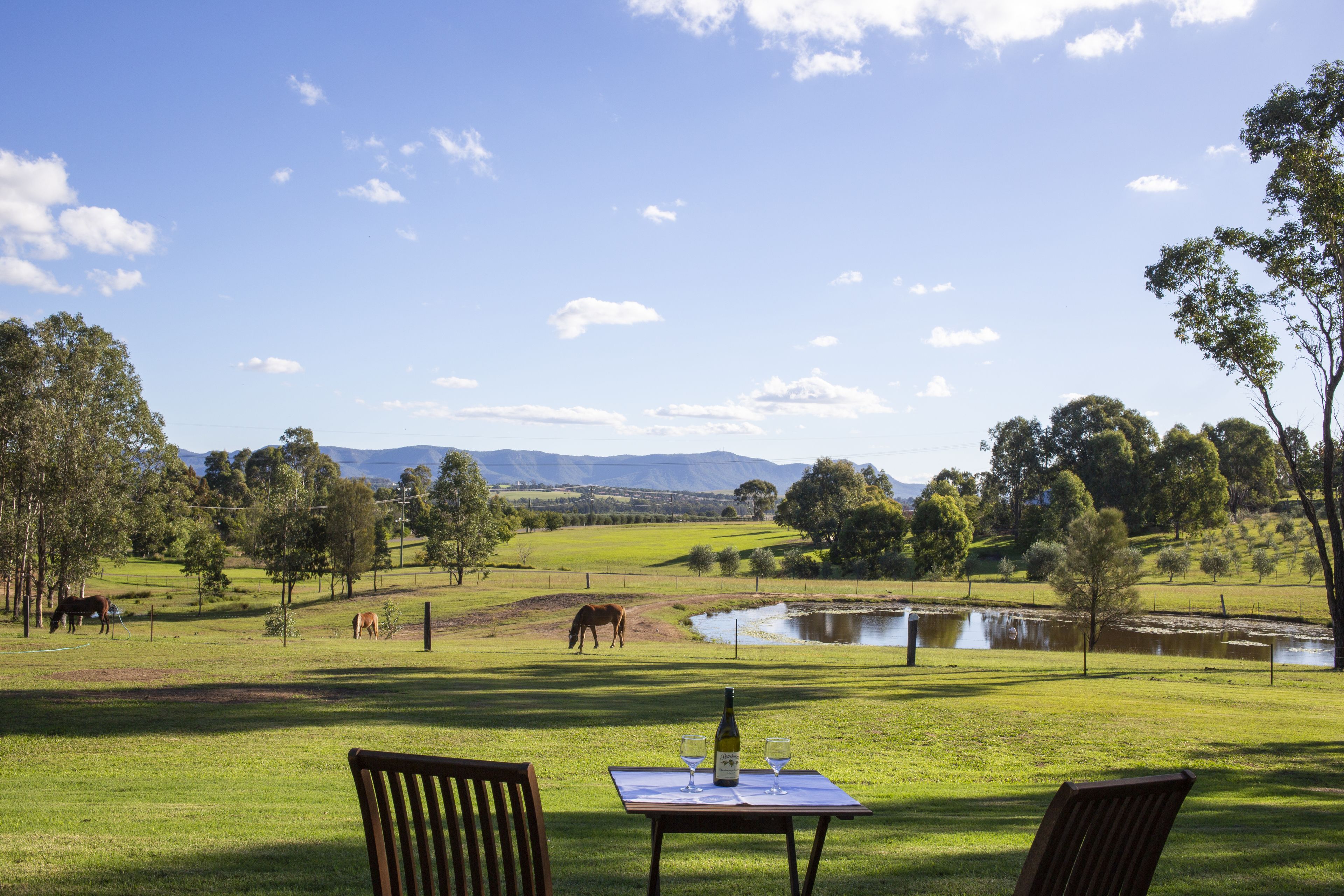 Rothbury Escape in Rothbury, Australia