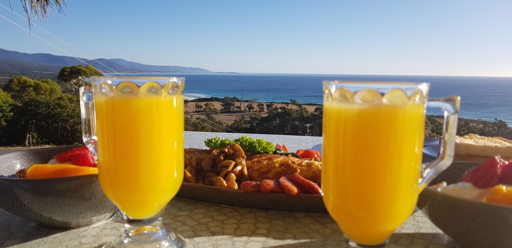 Bicheno's Ocean View Retreat