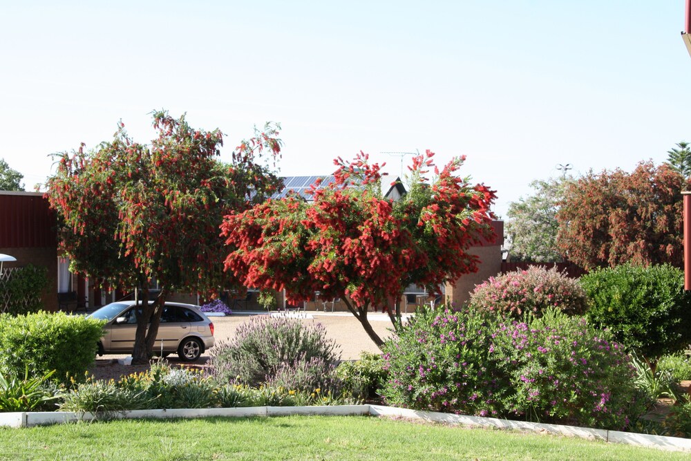 Camellia Motel
