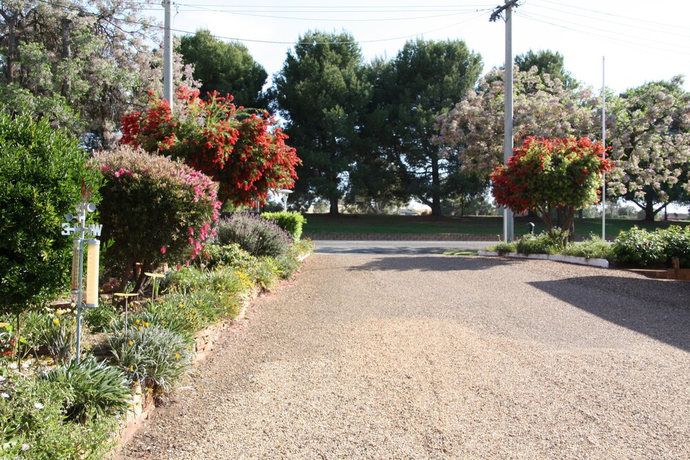 Camellia Motel